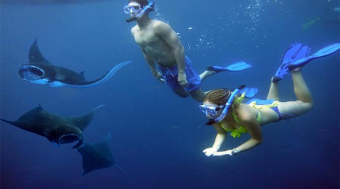 Penida Snorkeling Tour